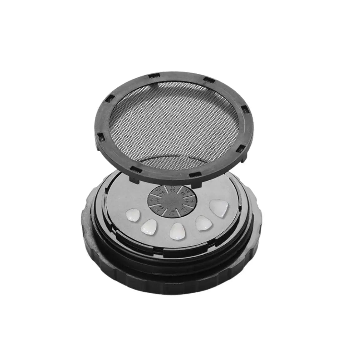 Ultimate Protective Box for Veneers Dentiphoto