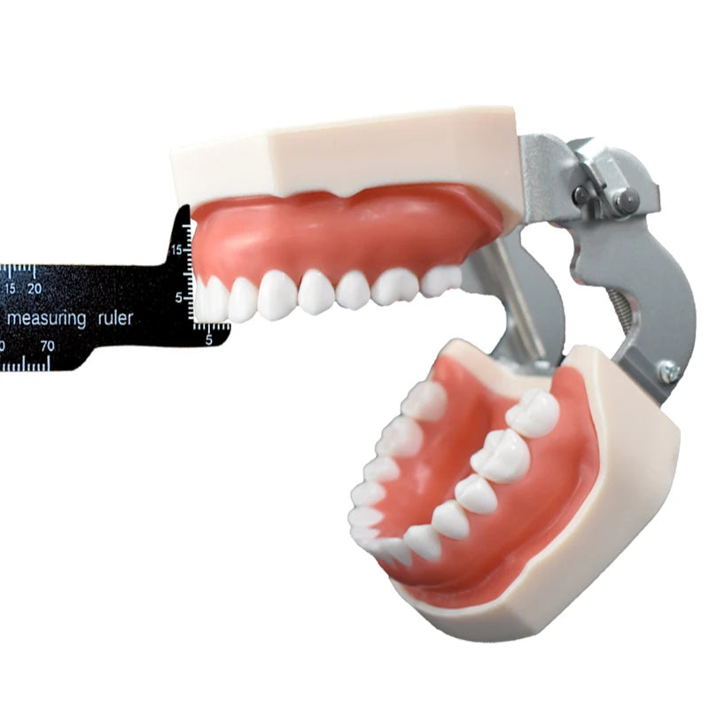 Regla de medición de precisión dental