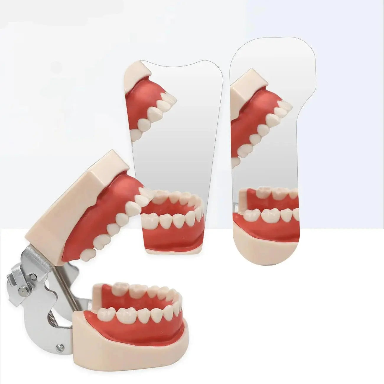 Dental Double-Sided Mirrors Dentiphoto