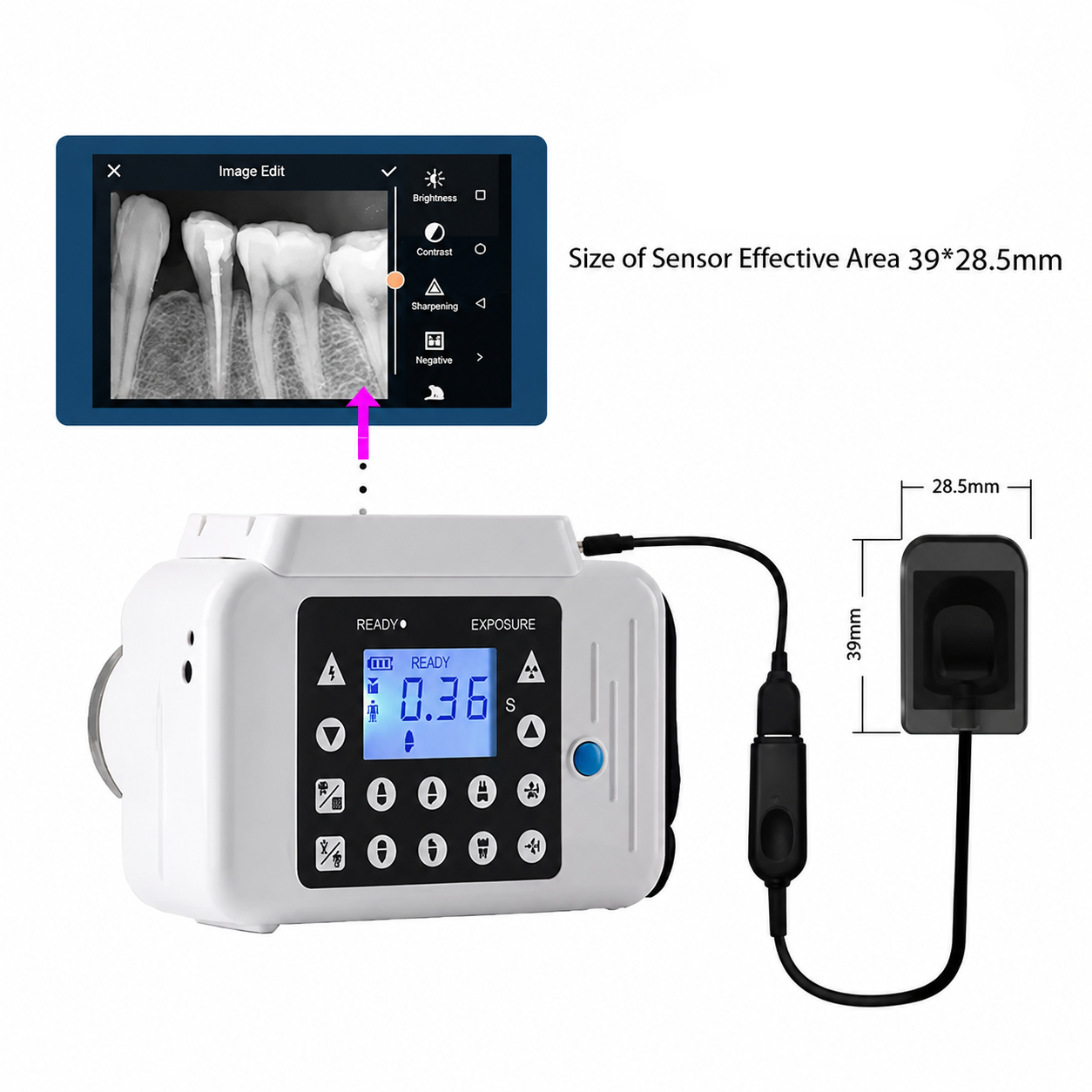 Portable Dental Digital X-Ray Unit with Instant Image Display