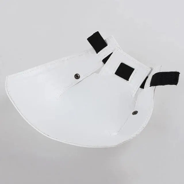 Professional Light Reflector for Dental Photography Dentiphoto