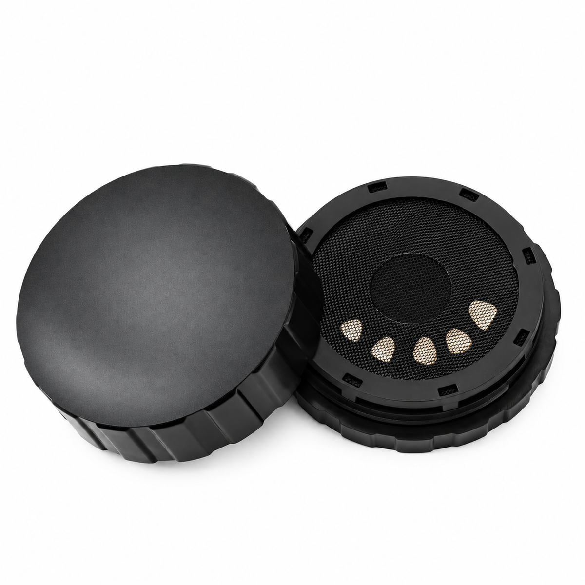 Protective Storage Box for Dental Veneers — Adhesive Gel Pad and Nylon Membrane Fixation for Etching and Transport