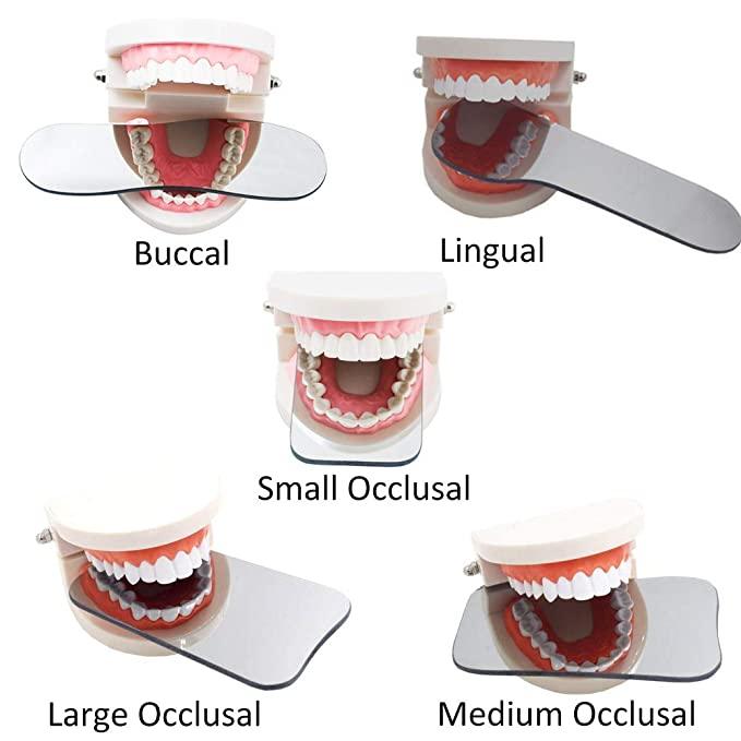 Lingual Glass Mirror - Dentiphoto