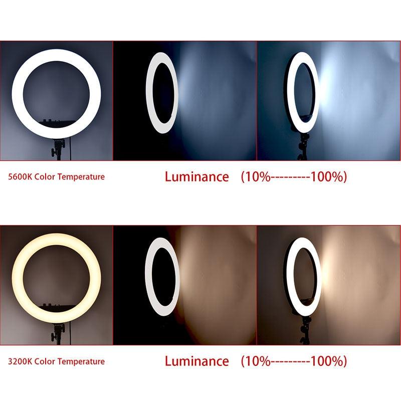 Photo Lighting Ring 48 cm - Dentiphoto