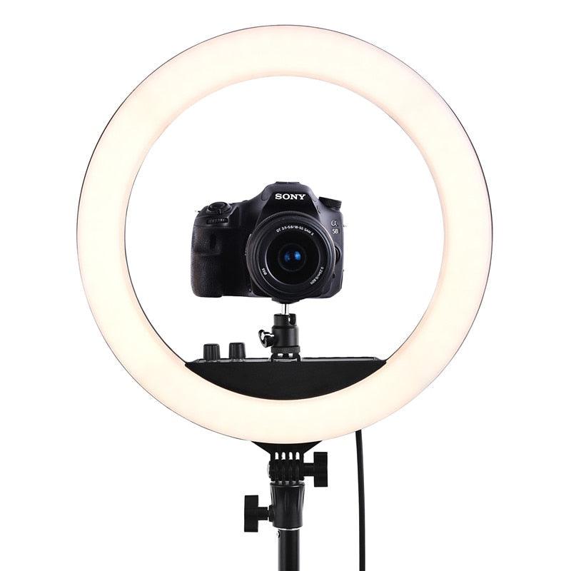 Photo Lighting Ring 48 cm - Dentiphoto