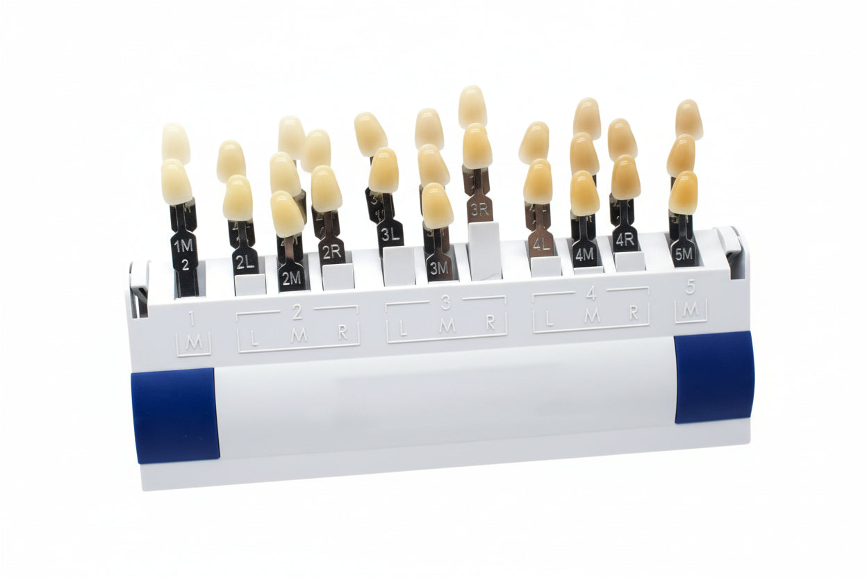 VITA 3D Master Shade Guide — 29 Colors for Dental Color Matching