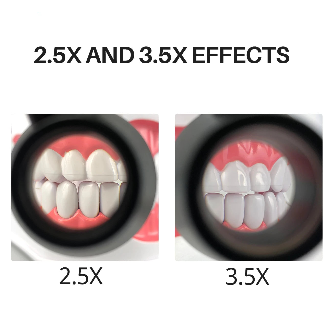 Dental Headscope 360