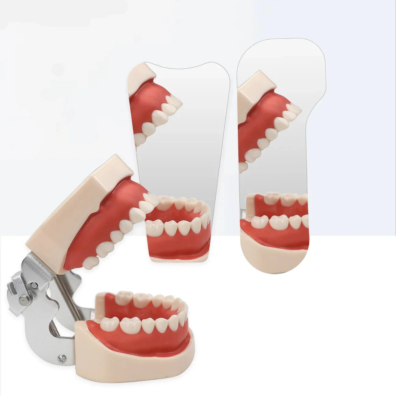 Doppelseitige Dentalspiegel