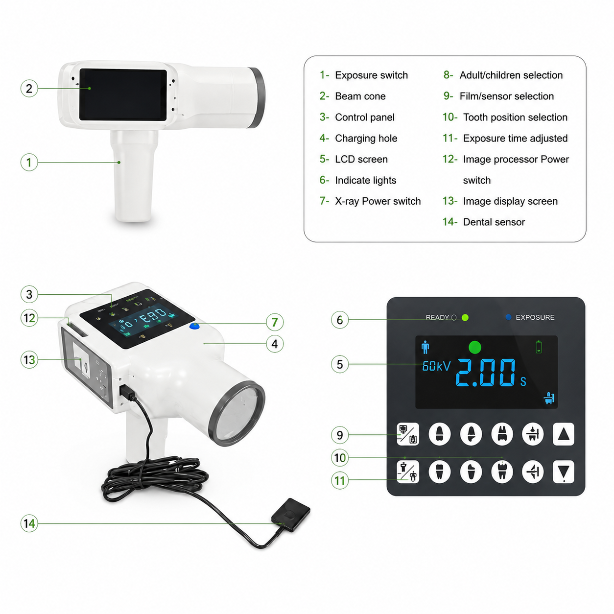 Dental X-Ray Unit with Touch Screen