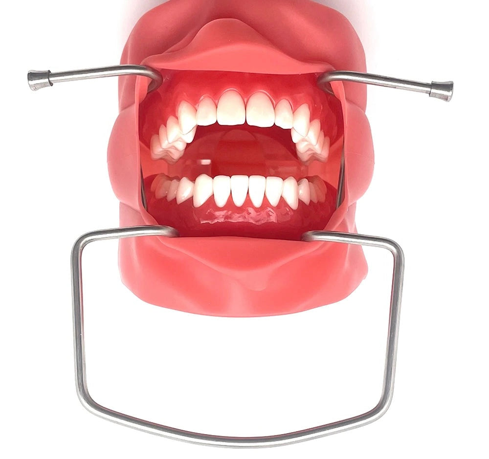 Steel Dental Cheek Retractor