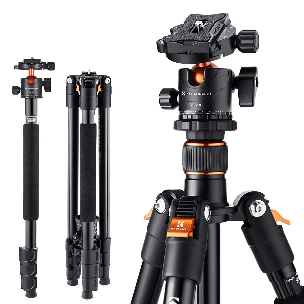 Compact Aluminum Alloy Tripod with 28mm Metal Ball Head - Dentiphoto