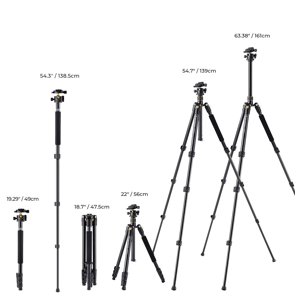 Compact Aluminum Alloy Tripod with 28mm Metal Ball Head - Dentiphoto